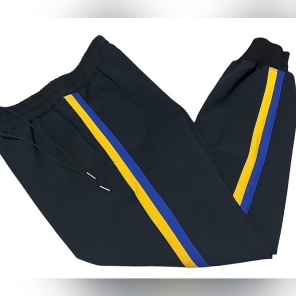 🌞ARITZIA WILFRED Buffon PantS Joggers Size XS - Picture 2 of 3